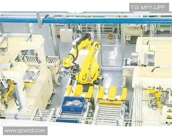 PEL发力YiLuo引领行业新风潮助力可持续发展与创新突破